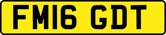 FM16GDT