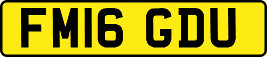 FM16GDU