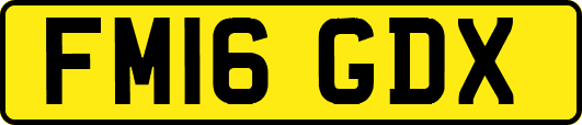 FM16GDX