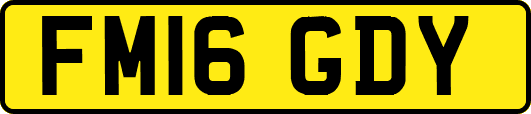 FM16GDY