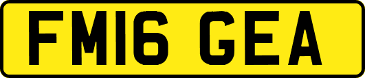 FM16GEA