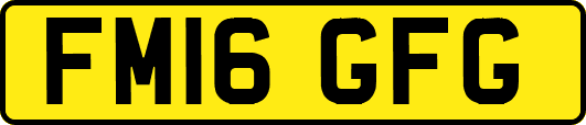 FM16GFG
