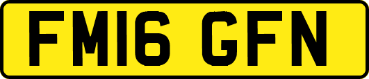 FM16GFN