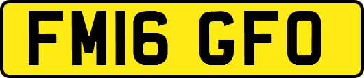 FM16GFO