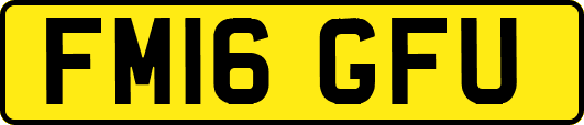 FM16GFU