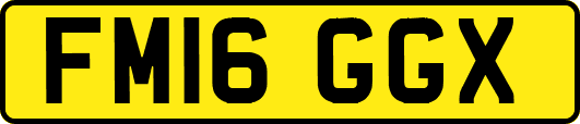 FM16GGX