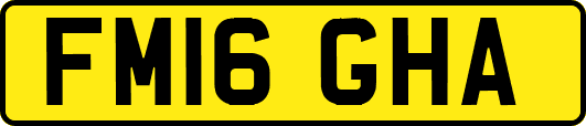 FM16GHA