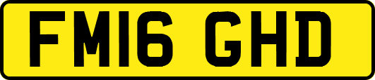 FM16GHD