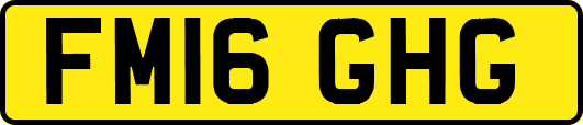 FM16GHG