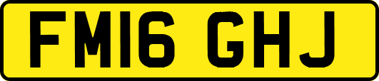 FM16GHJ