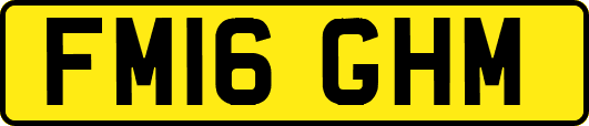FM16GHM