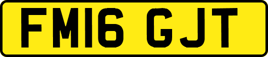 FM16GJT