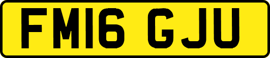 FM16GJU