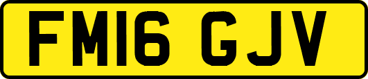 FM16GJV