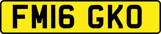 FM16GKO