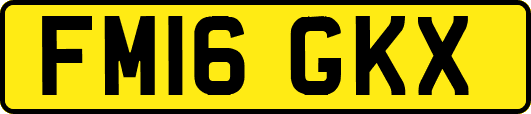 FM16GKX