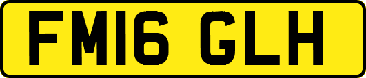 FM16GLH