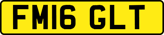 FM16GLT