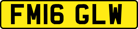 FM16GLW