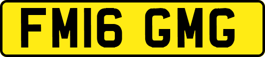 FM16GMG