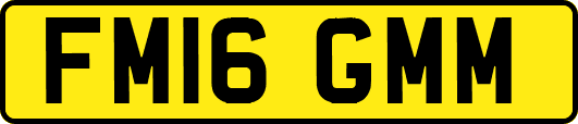 FM16GMM