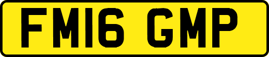FM16GMP