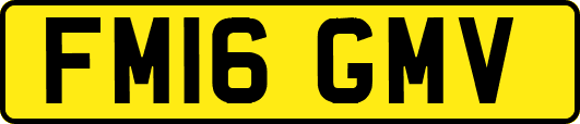 FM16GMV