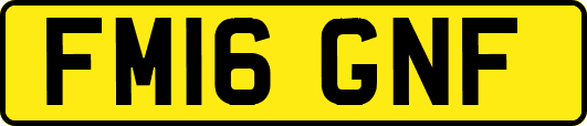 FM16GNF