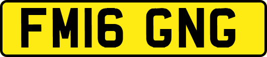 FM16GNG