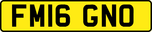 FM16GNO