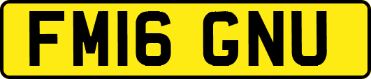 FM16GNU
