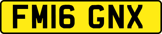 FM16GNX