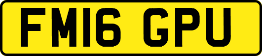 FM16GPU