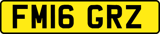 FM16GRZ