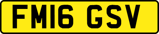 FM16GSV