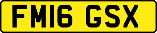 FM16GSX