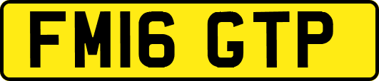 FM16GTP