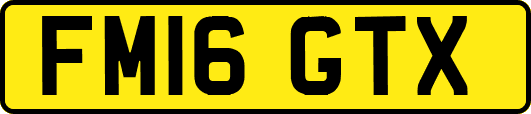 FM16GTX