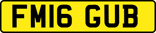 FM16GUB