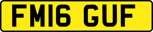 FM16GUF