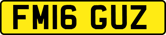 FM16GUZ