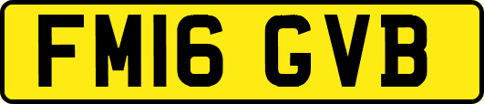 FM16GVB