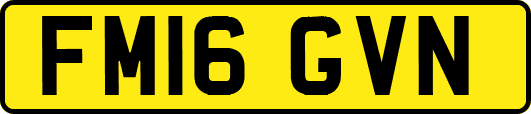 FM16GVN