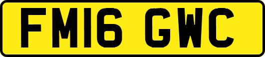 FM16GWC