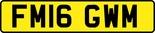 FM16GWM