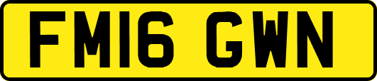 FM16GWN