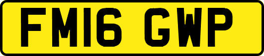 FM16GWP