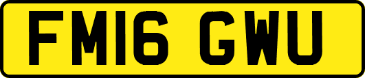 FM16GWU