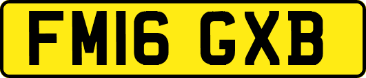FM16GXB