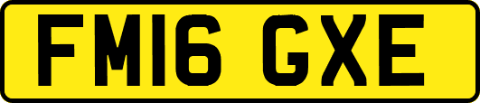 FM16GXE